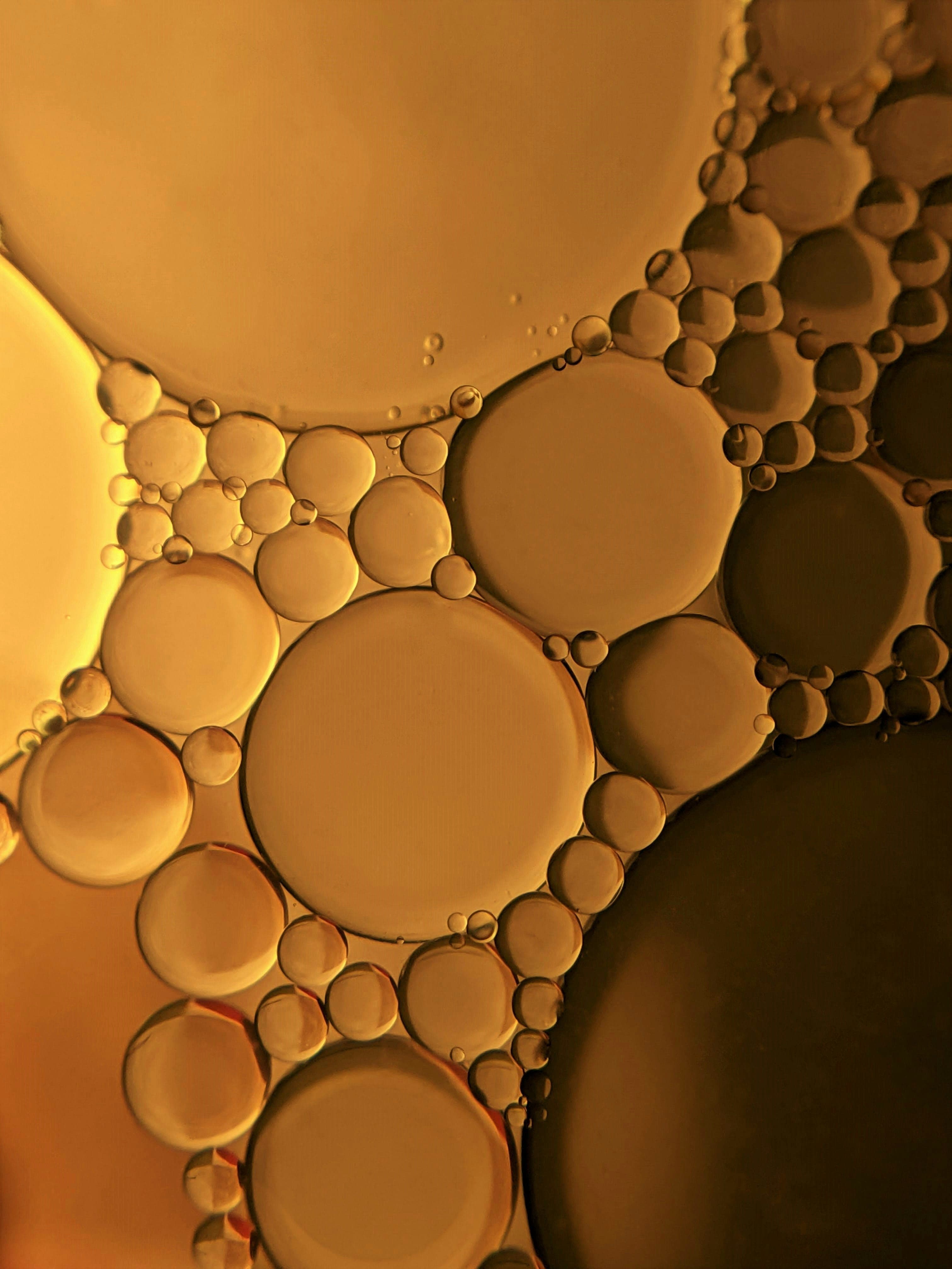 Get your blood work done