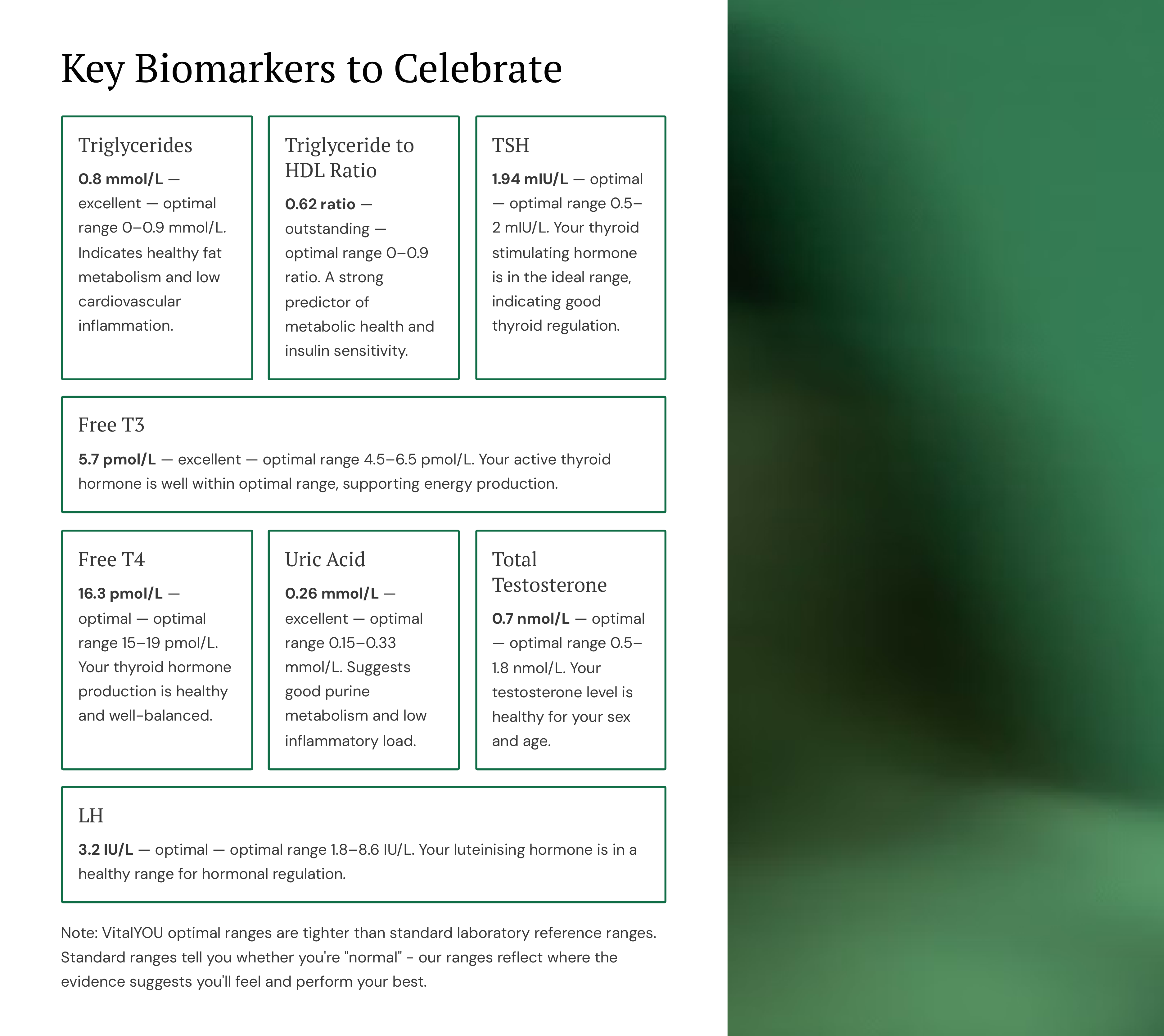 Report page: Your wins